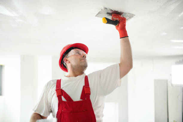 Maurice, LA Drywall & Painting Services Company